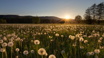 Картинка природа восходы закаты рассвет