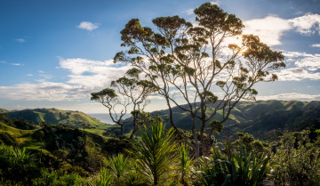 Картинка природа пейзажи простор