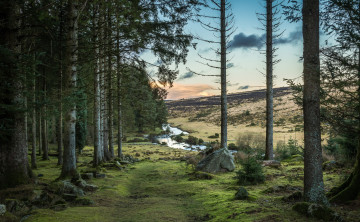 Картинка природа реки озера река лес