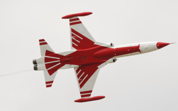 Картинка авиация боевые+самолёты turkish stars northrop nf-5a