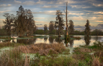 Картинка природа реки озера река лес