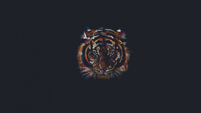 Обои картинки фото рисованное, минимализм, взгляд, тигр, морда