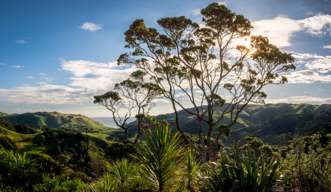 Обои картинки фото природа, пейзажи, простор