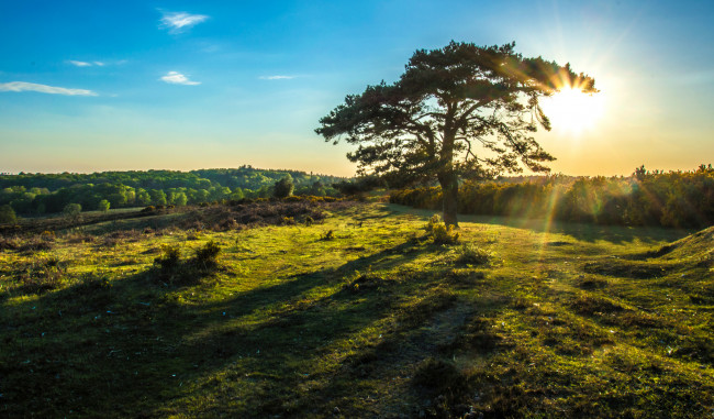 Обои картинки фото природа, восходы, закаты, рассвет