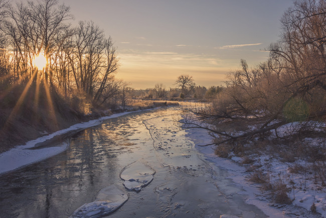 Обои картинки фото природа, реки, озера, река, лес