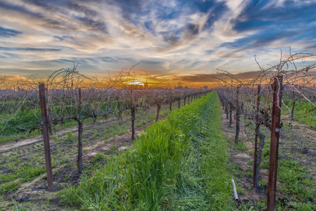 Обои картинки фото природа, восходы, закаты, рассвет