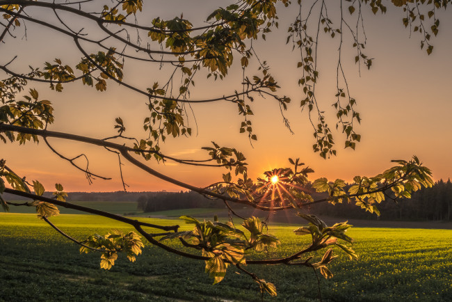 Обои картинки фото природа, восходы, закаты, рассвет