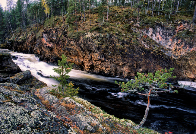 Обои картинки фото природа, реки, озера, река, лес