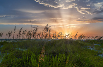 Картинка природа восходы закаты простор