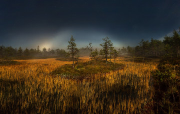 Картинка природа пейзажи простор