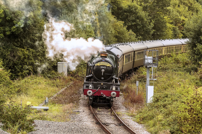 Обои картинки фото техника, паровозы, состав, локомотив