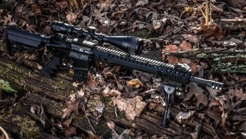 Картинка оружие снайперская+винтовка spr ar-15
