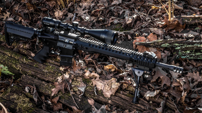 Обои картинки фото оружие, снайперская винтовка, spr, ar-15