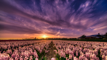 Картинка природа восходы закаты закат рассвет