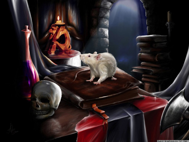 Обои картинки фото фэнтези, существа