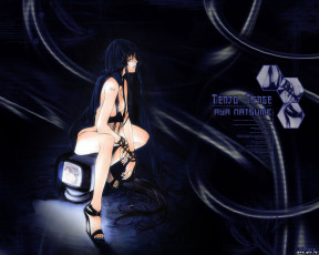 Картинка аниме tenjou tenge