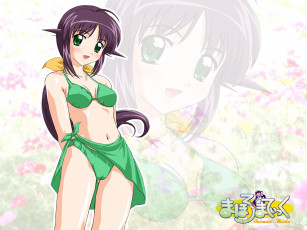 Картинка аниме mahoromatic