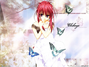 Картинка аниме sister princess