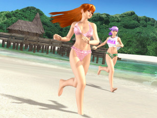 Картинка видео игры dead or alive xtreme