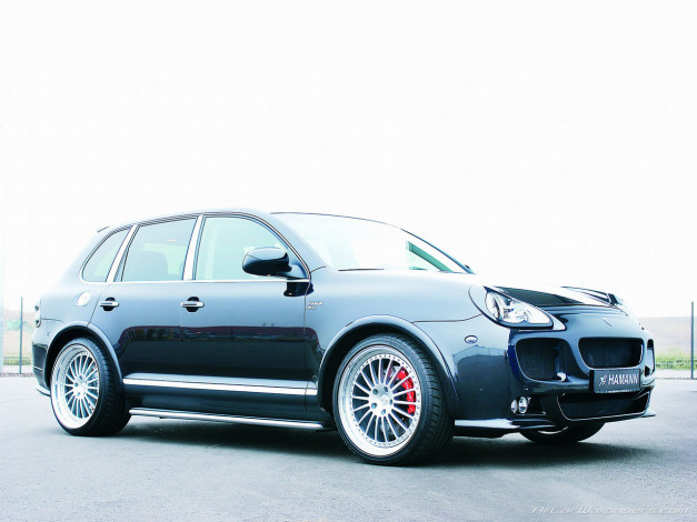 Обои картинки фото автомобили, porsche