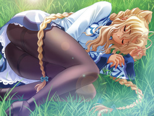 Картинка аниме touka gettan