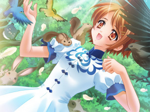 Картинка аниме touka gettan