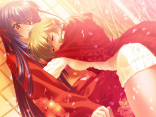 Картинка аниме touka gettan