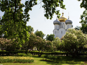 Картинка москва новодевичий города россия