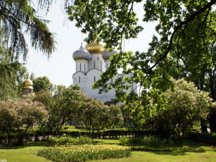 Картинка москва новодевичий города россия