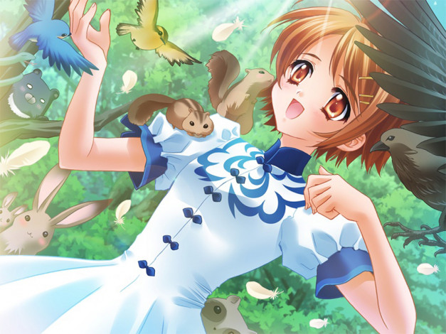 Обои картинки фото аниме, touka, gettan