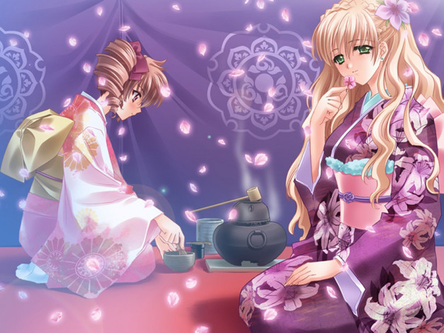 Обои картинки фото аниме, touka, gettan