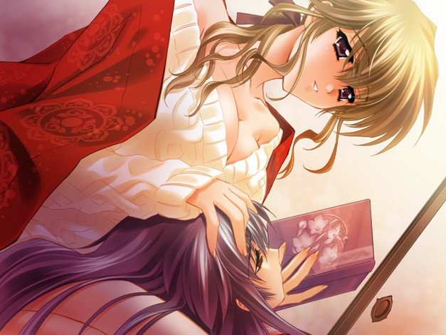 Обои картинки фото аниме, touka, gettan