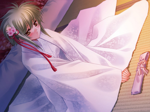 Обои картинки фото аниме, touka, gettan