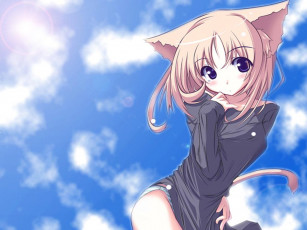 Картинка аниме animals