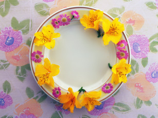 Картинка цветы букеты композиции