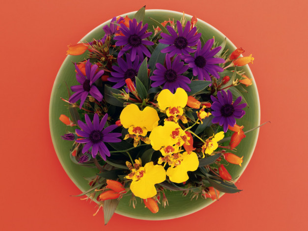 Обои картинки фото цветы, букеты, композиции