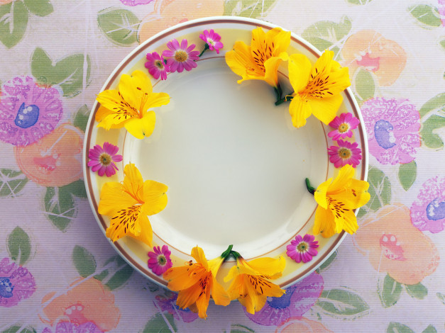 Обои картинки фото цветы, букеты, композиции