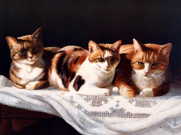 Обои картинки фото рисованные, животные, коты