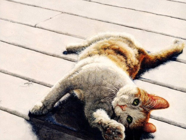 Обои картинки фото рисованные, животные, коты