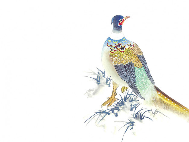 Обои картинки фото рисованные, животные, птицы