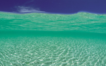 Картинка природа моря океаны