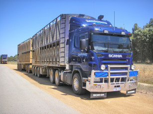 Картинка автомобили scania