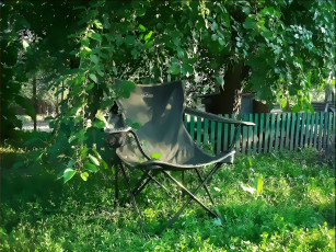 Картинка разное компьютерный дизайн