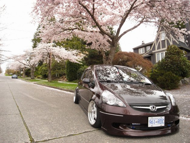 Обои картинки фото автомобили, honda