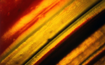 Картинка векторная графика разное