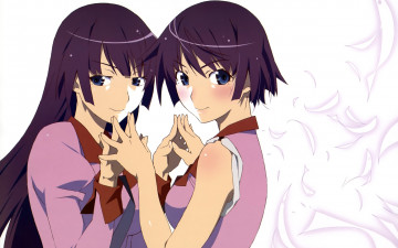 Картинка аниме bakemonogatari senjougahara+hitagi девушка форма