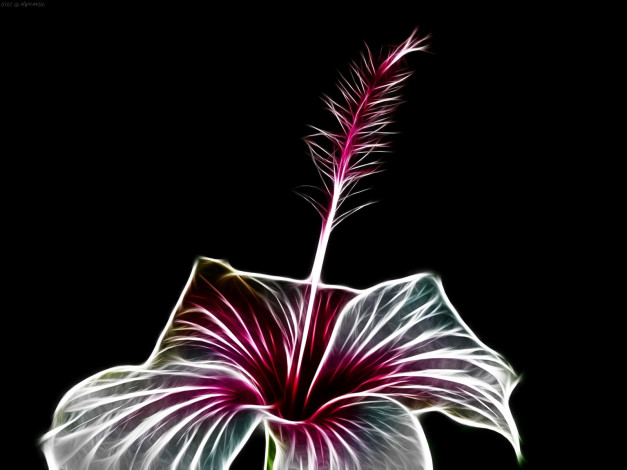 Обои картинки фото 3д, графика, flowers, цветы, лепестки, фон