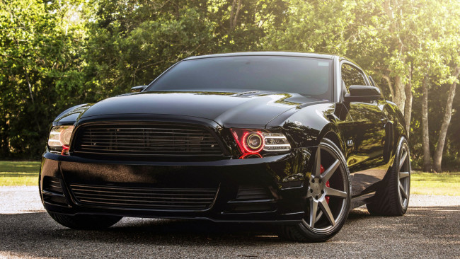 Обои картинки фото автомобили, mustang, ford, gt