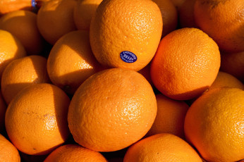 Картинка еда цитрусы апельсины