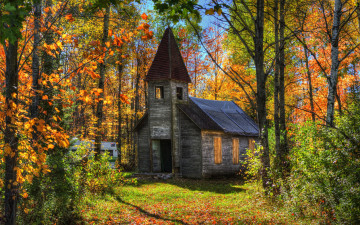 Картинка города -+пейзажи осень лес заброшенный дом деревья солнце